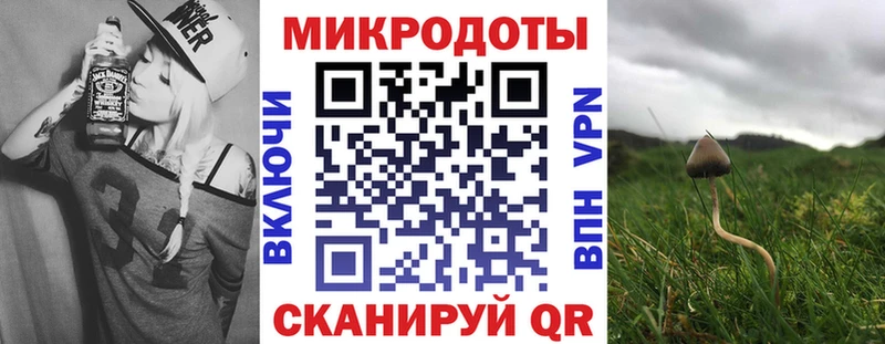 Галлюциногенные грибы прущие грибы  Кедровый 