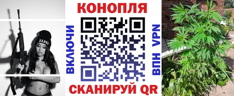 МАРИХУАНА OG Kush  Кедровый 